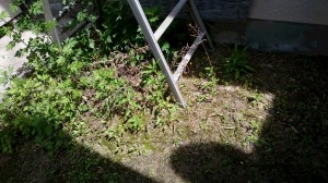 草抜き　掃除　不用品回収　女性スタッフ便利屋ワンズ　広島県呉市
