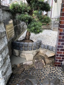 広島　呉市　庭リフォーム　枯れ木撤去　悩み　便利屋　ワンズ