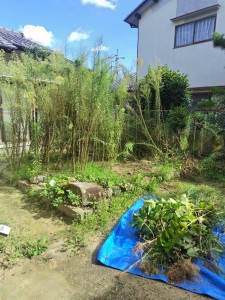 呉市便利屋ワンズ　草抜き　草刈り　木の伐採　広島市/呉市/江田島市/東広島市