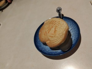 image_6610582637847268429